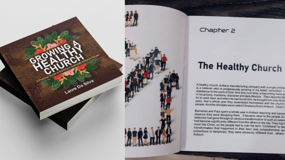 Growing a Healthy Church - A Practical step by step guide and workbook by Pastor Lanre Da Silva
